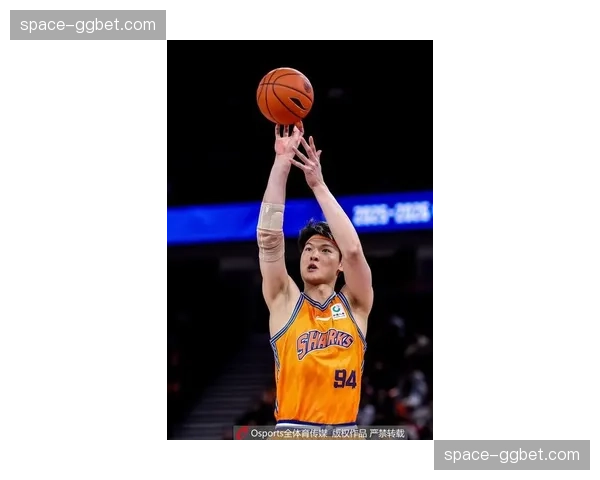 王哲林季后赛篮板总数超越巴特尔，升至历史第五